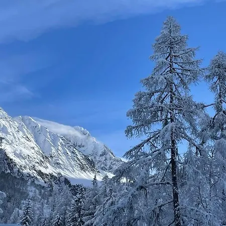 Duplex 4 Pers Vue Montblanc , Grands Montets *