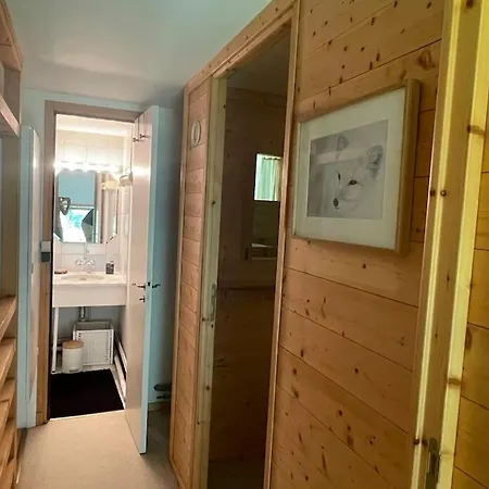 Duplex 4 Pers Vue Montblanc , Grands Montets